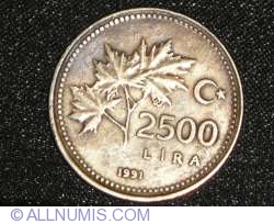 Image #1 of 2500 Turkish Lira 1991