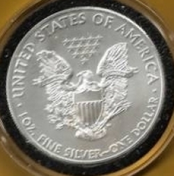 Silver Eagle 2014