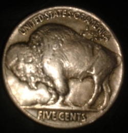 Buffalo Nickel 1919