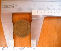 2 Bani 1879 - 19.5 mm diametru