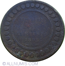 5 Centimes 1893 (AH1310)