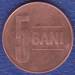 1 : 5 Bani 2006