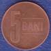 1 : 5 Bani 2007