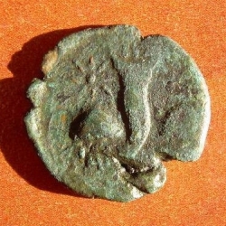 Image #2 of Tetrahalk ND (130 î.Hr.)