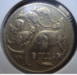 Image #1 of 1 Dolar  2005