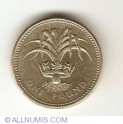 1 Pound 1990