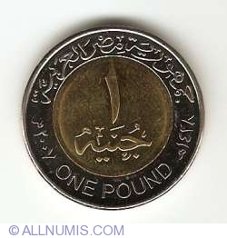 1 Pound 2007 (AH 1428)