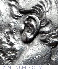 5 Lei 1881 - Variant Wrinkles in ear