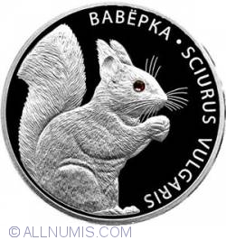 20 Ruble 2009 -   Squirrel