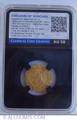 Florin 1402-1404 Nagybania/Baia Mare