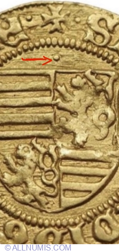 Florin 1402-1404 Nagybania/Baia Mare