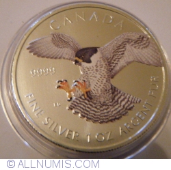Image #2 of 5 Dollars 2014 - Birds of Prey - Peregrine Falcon  Color