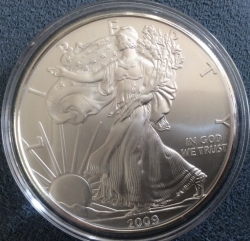 Silver Eagle 2009
