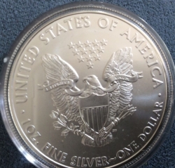 Silver Eagle 2009