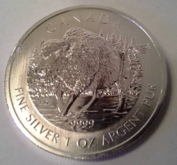 Image #2 of 5 Dollars 2013 Wildlife - Wood Bison