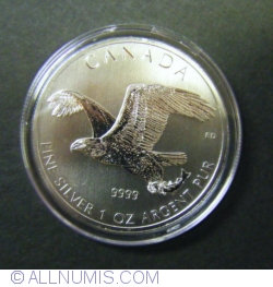 Image #2 of 5 Dollars 2014 Birds of Prey - Bald Eagle