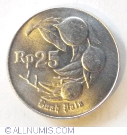 25 Rupiah 1996