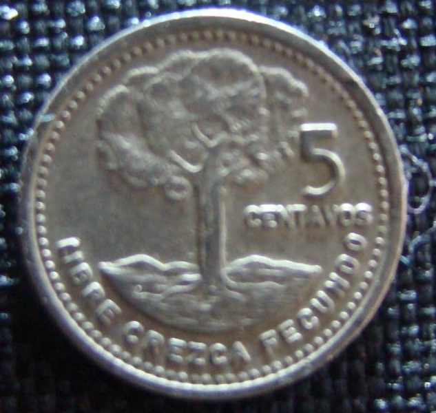 5 Centavos 1981, Republic (1981-1990) - Guatemala - Coin - 33980