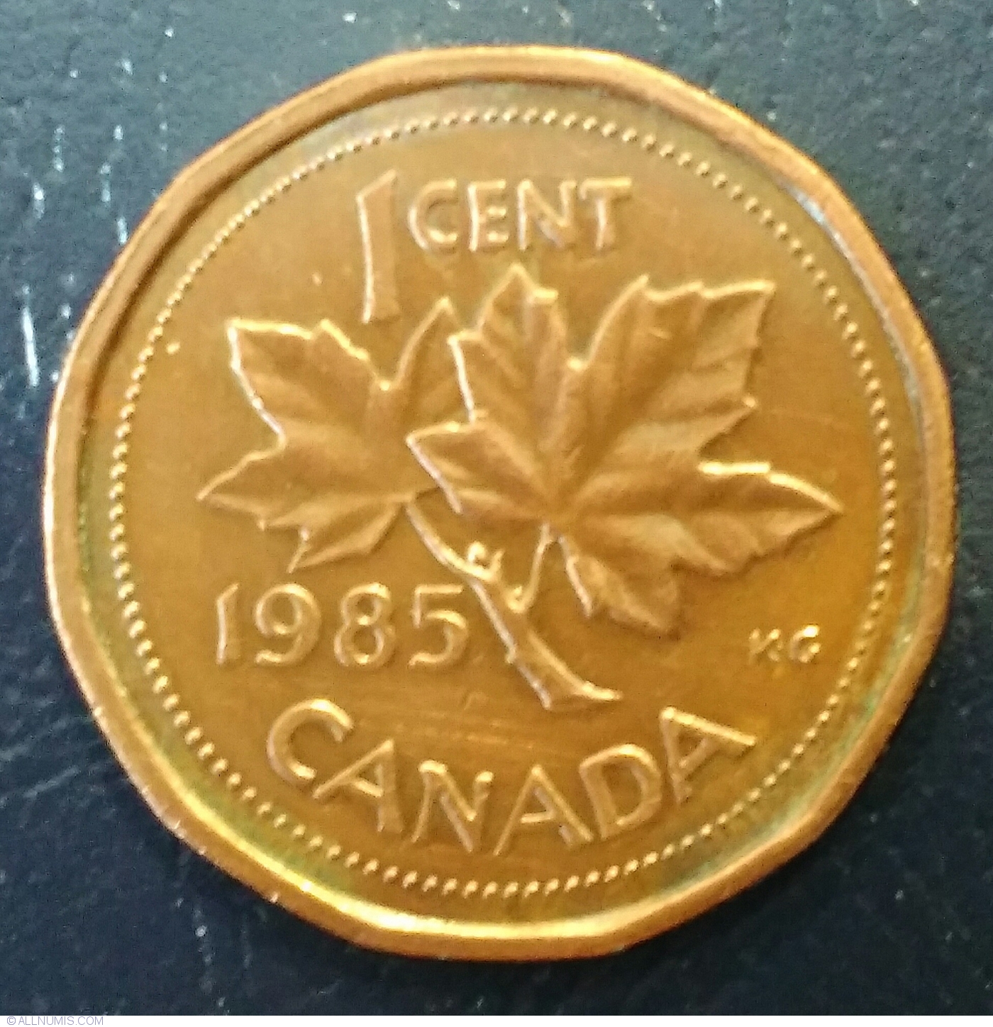 Canada 1985 Blunt 5  1 Cent Copper One Canadian Penny Coin 