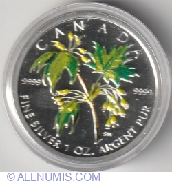 Canadian Maple 5 dollars 2003 Coloured coin