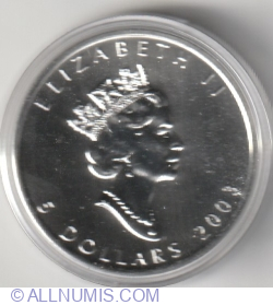 Image #1 of Canadian Maple 5 dollars 2003 Coloured coin