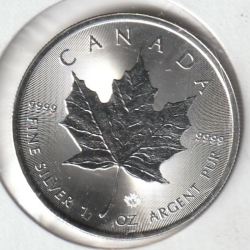 Canadian Maple $5 2024 - Maple Leaf Privy Mark