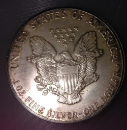 Silver Eagle 1989
