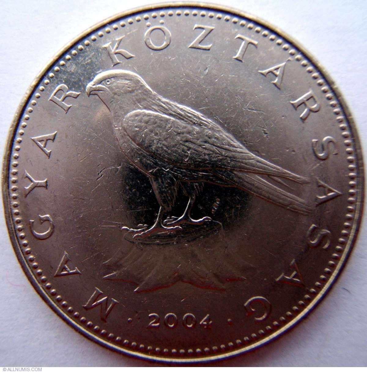 50 Forint 2004 Republic 1989 present Hungary Coin 1365