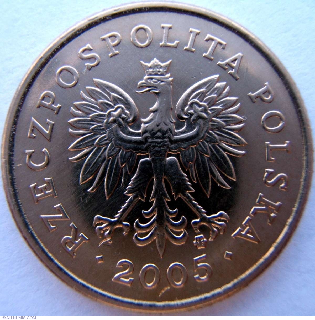 5 Groszy 2005 1990 2014 Issue 5 Groszy Poland Coin 1217
