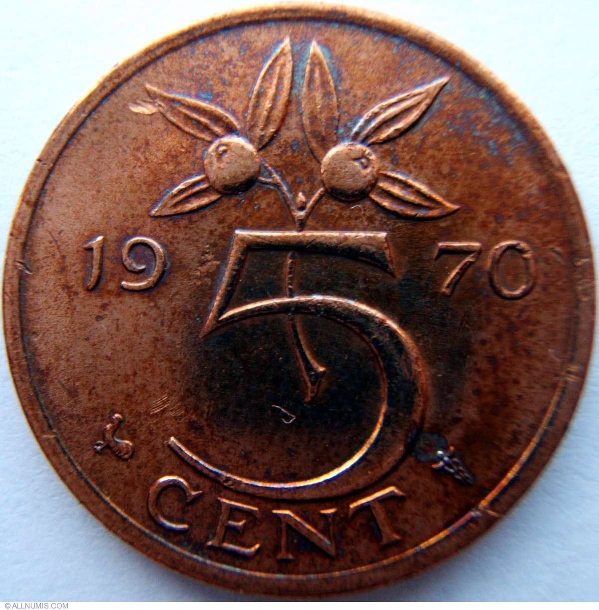 5-cents-1970-juliana-1961-1980-netherlands-coin-1017