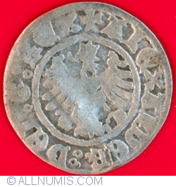½ Grosz Koronny 1501-1506 (Poland)