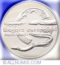 Image #2 of 20 Zlotych 2003 - European eel (Anguilla anguilla)