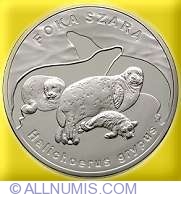 Image #2 of 20 Zlotych 2007 - Halichoerus Grypus (Gray Seal)