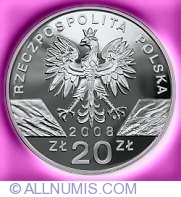 Image #1 of 20 Zlotych 2008 - Peregrine Falcon