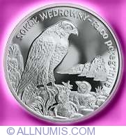 20 Zlotych 2008 - Peregrine Falcon