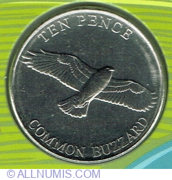 10 Pence 2022 - Common Buzzard