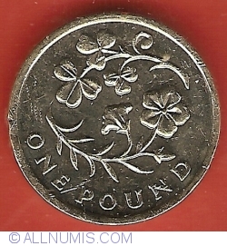 Image #1 of 1 Pound 2014 - Northern Ireland