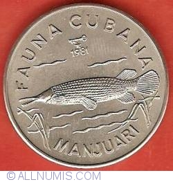 Image #2 of 1 Peso 1981 - Cuban Fauna - Manjuari