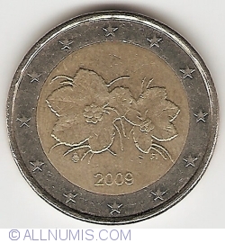 Image #1 of 2 Euro 2009